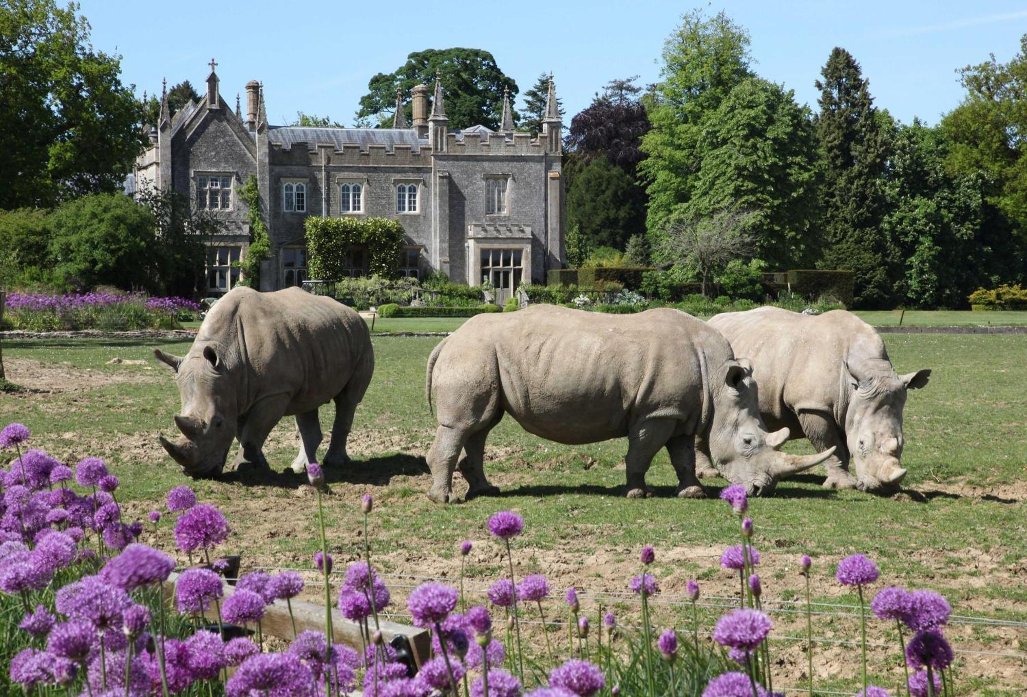April Cottage Stow-on-the-Wold Dış mekan fotoğraf